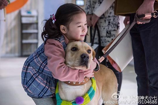 Hero Dog China Drama